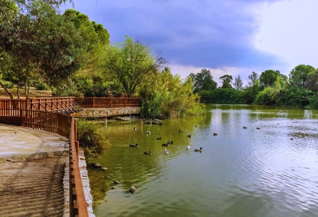 Amyth of Nicosia